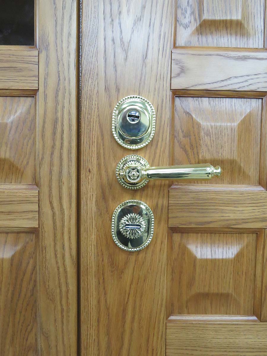Парадная дверь (лев) апрель 2021 - фурнитура