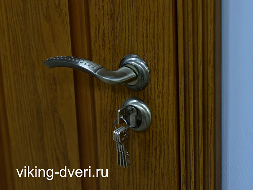 дверь МДФ_3_12.23
